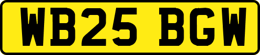 WB25BGW