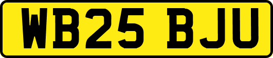 WB25BJU