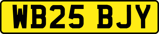 WB25BJY