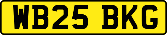 WB25BKG