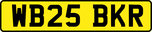 WB25BKR