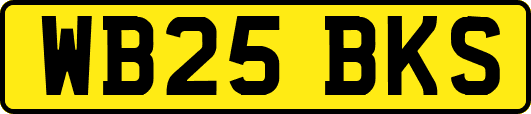 WB25BKS