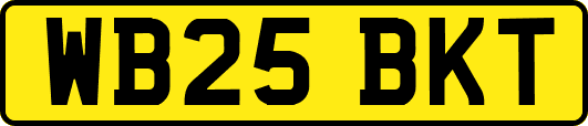 WB25BKT