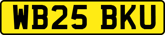 WB25BKU