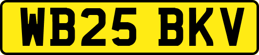 WB25BKV