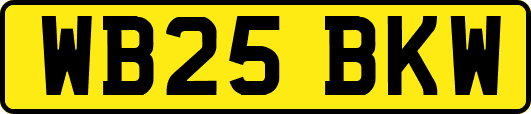 WB25BKW