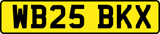 WB25BKX