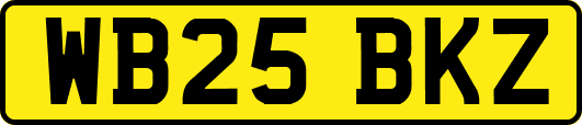 WB25BKZ