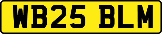 WB25BLM