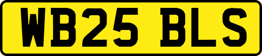 WB25BLS