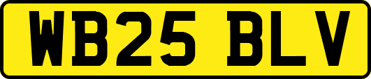 WB25BLV