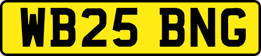 WB25BNG