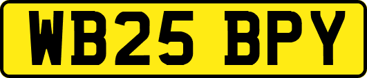 WB25BPY