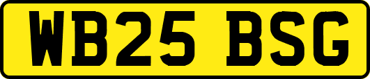WB25BSG