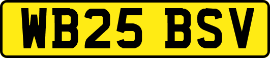 WB25BSV