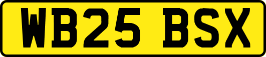 WB25BSX