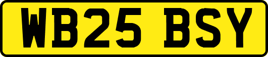 WB25BSY