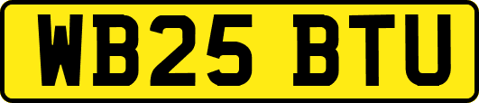 WB25BTU
