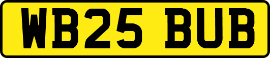 WB25BUB