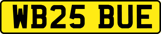 WB25BUE