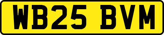 WB25BVM