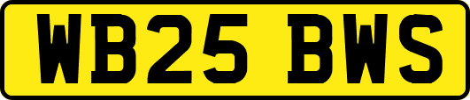 WB25BWS