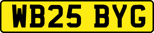 WB25BYG