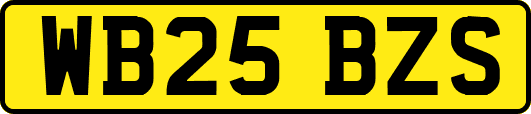WB25BZS
