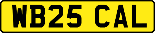 WB25CAL