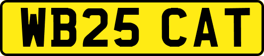 WB25CAT