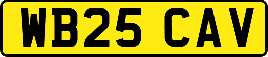 WB25CAV