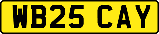 WB25CAY