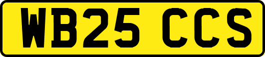 WB25CCS