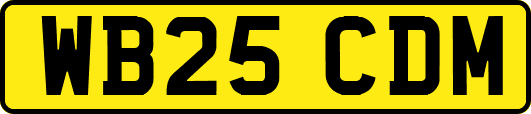 WB25CDM