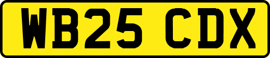 WB25CDX