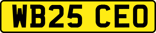 WB25CEO