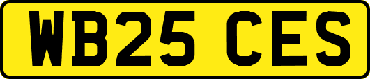 WB25CES