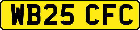 WB25CFC