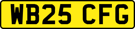WB25CFG