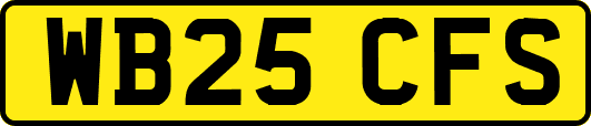 WB25CFS