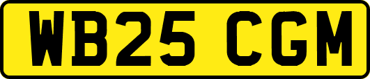 WB25CGM