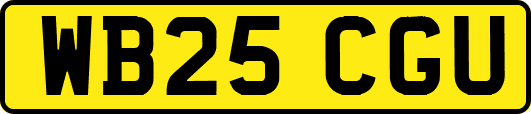 WB25CGU