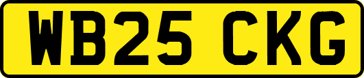 WB25CKG