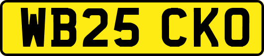 WB25CKO