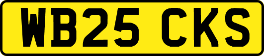 WB25CKS