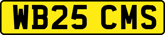 WB25CMS