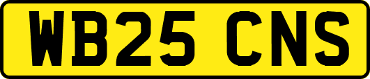 WB25CNS