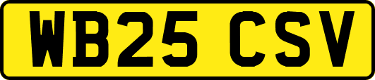 WB25CSV
