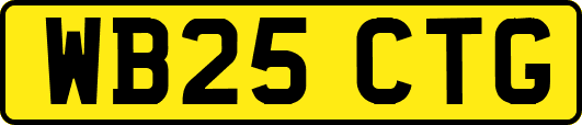 WB25CTG