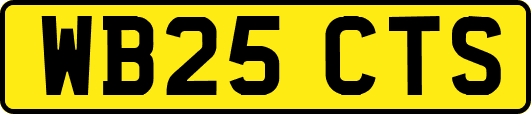 WB25CTS